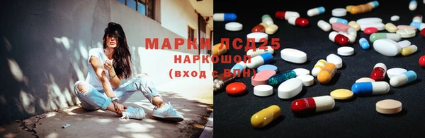 прущие грибы Аркадак