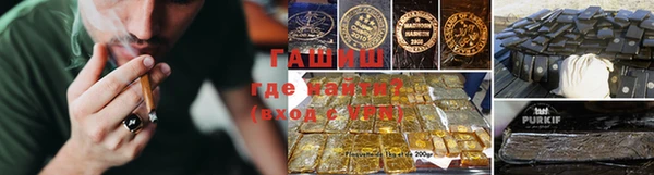 прущие грибы Аркадак