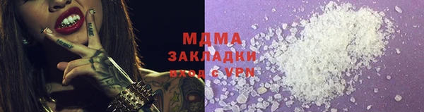 прущие грибы Аркадак