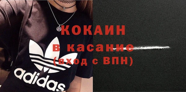 прущие грибы Аркадак