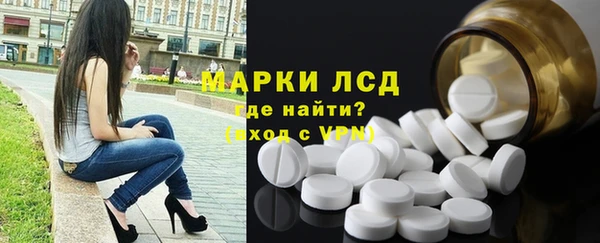 прущие грибы Аркадак