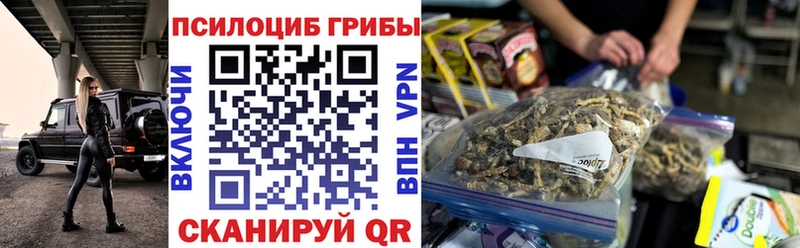 Купить закладки  Благодарный  Псилоцибиновые грибы Psilocybine cubensis 