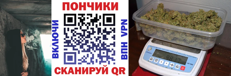 Конопля ГИДРОПОН  Купить  Благодарный 